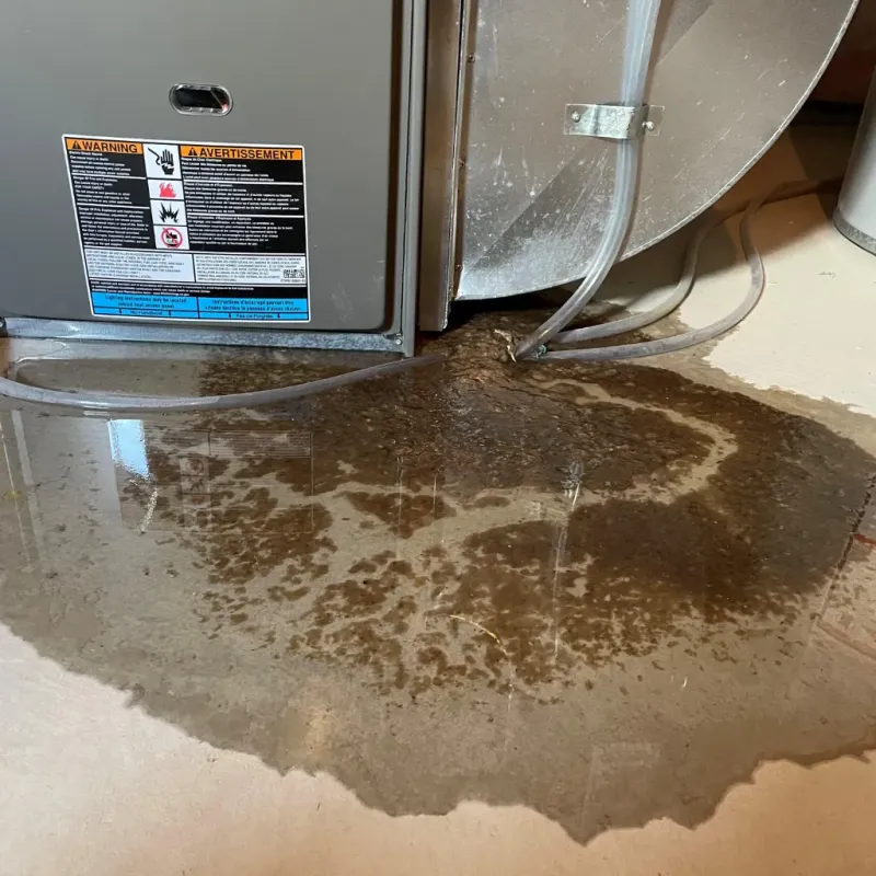 Appliance Leak Cleanup in Los Chavez, NM